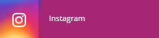 Ikona logo Instagram w menu